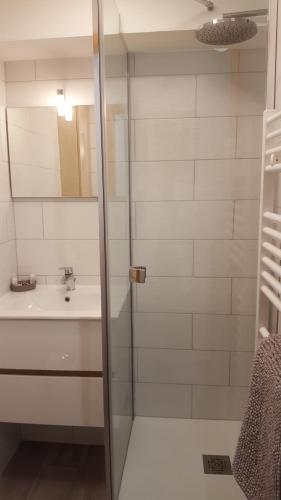Shower, Thollon-Les-Memises - IGLOO 2 in Thollon-les-Memises