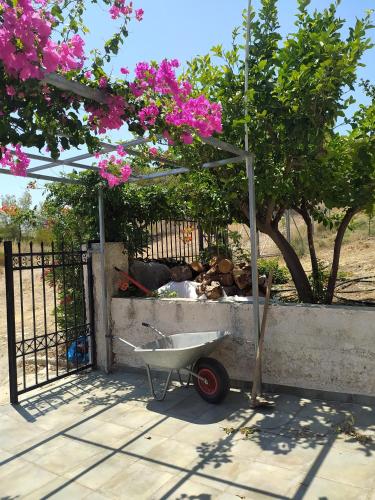 σπίτι - αγρόκτημα - Δ Γεωργά Χατζηράση οδός Χατζηράση, Порто-Хели (фото 6)