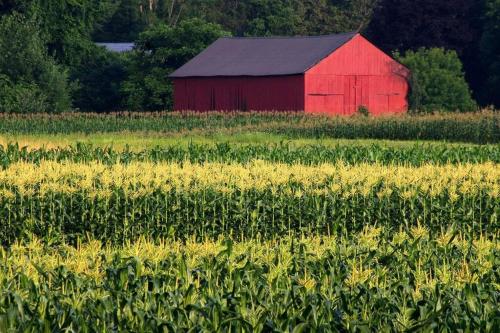 Amherst Country OASIS Perfect Location UMass