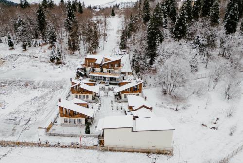 7 Cottage in Bakuriani - Chalet