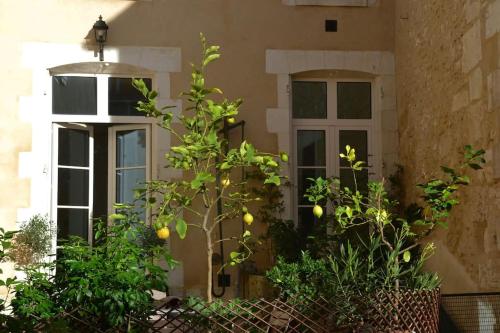 Maison des Pilastres au cœur d'Auxerre - Location saisonnière - Auxerre