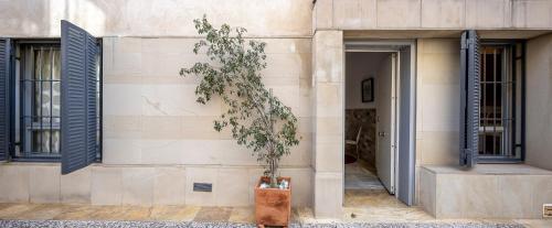 Amazing studio in the old city - image 12