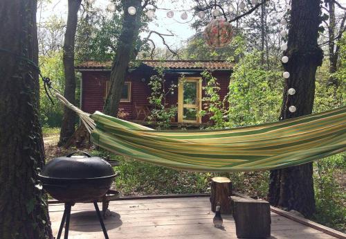 Cinke cottage, nest in nature in Verocemarosa