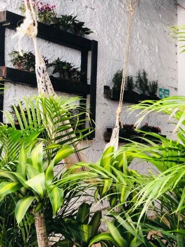 Casa Egos Pop Laureles, Medellín (foto 6)