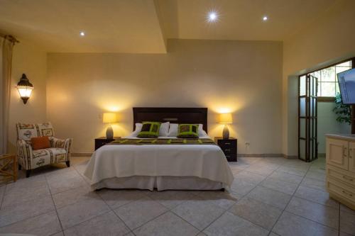 Paradisiaca Casa Las Palmas con Alberca Climatizada 5 suites in Olimpo