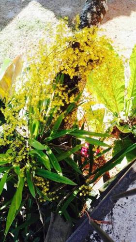 Casa Los Madriz Suite #1 Casa Los Madriz Suite #1