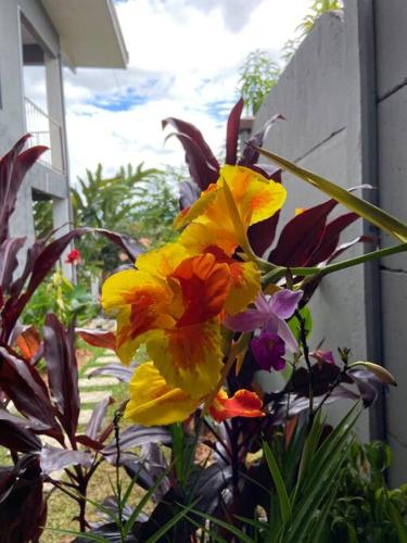 Casa Los Madriz Suite #1 Casa Los Madriz Suite #1