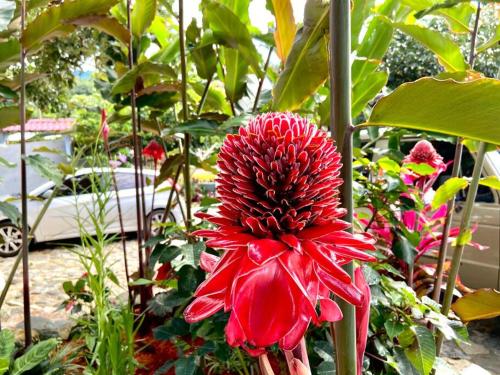 Casa Los Madriz Suite #1 Casa Los Madriz Suite #1