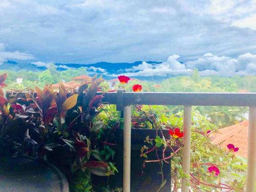 Casa Los Madriz Suite #1 Casa Los Madriz Suite #1