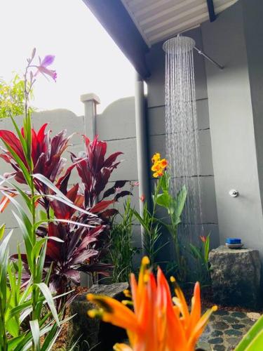 Casa Los Madriz Suite #1 Casa Los Madriz Suite #1