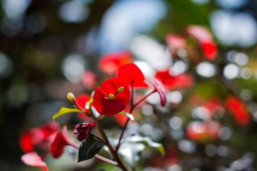 Casa Los Madriz Suite #1 Casa Los Madriz Suite #1