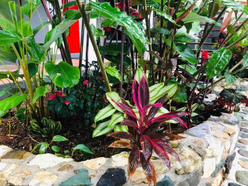 Casa Los Madriz Suite #1 Casa Los Madriz Suite #1