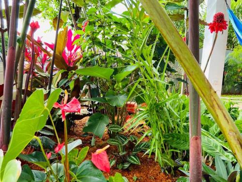 Casa Los Madriz Suite #1 Casa Los Madriz Suite #1