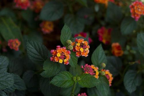 Casa Los Madriz Suite #1 Casa Los Madriz Suite #1