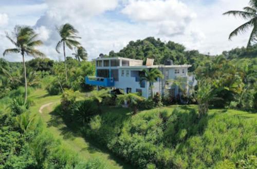 Exterior view, Swim & Paint Art Retreat in Humacao