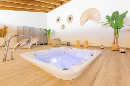 Gyógyfürdő, Hotel Eth Solan & SPA in Vielha