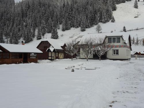 Apkārtne, Casa Dumitru si Elena Ciocanesti Bucovina in Ciocănești