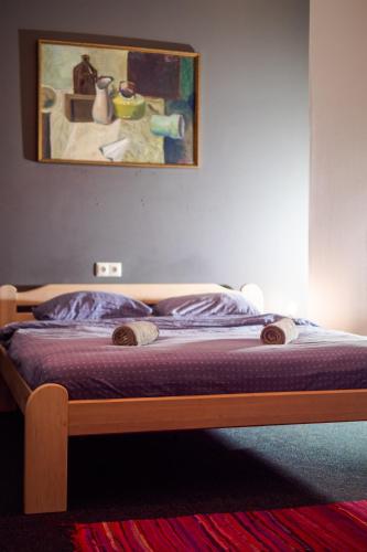 Cinnamon Sally Backpackers Hostel, Riga (photo 7)