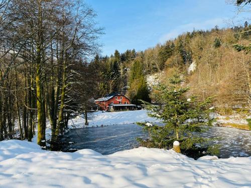 Accomodatie in Villa Werschmatt - Location saisonnière - Kruth