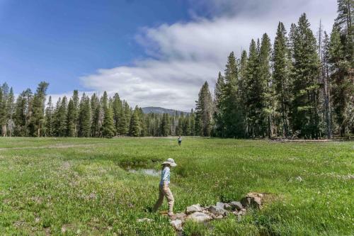 Holiday Inn Express & Suites Oakhurst-Yosemite Park Area, an IHG Hotel