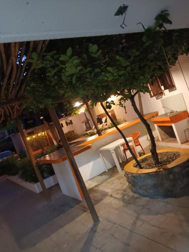 Hotel Casa Juanita – Puerto Escondido, AR