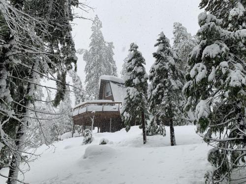 Heckman's Peak/You Deserve some Sierra Snow in Blue Lake Springs!