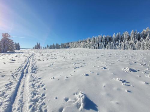 Apartmán Spa Šumava