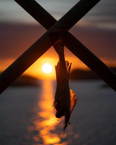 Lofoten Sunset & Ocean VIew