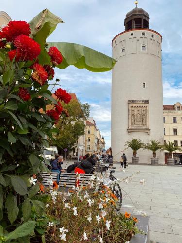 Parkhotel Görlitz - image 13