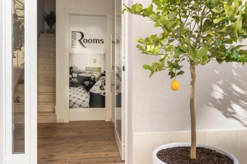 Trisina Rooms 1