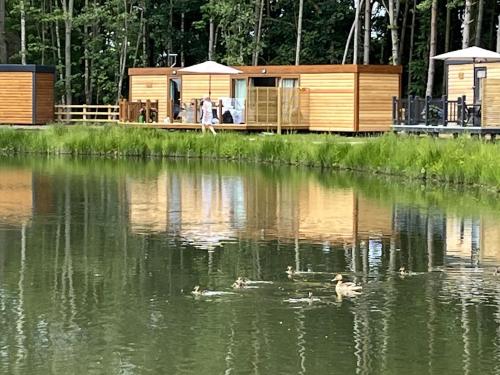 Cedar Boutique Lodge-dog fishing and Spa access