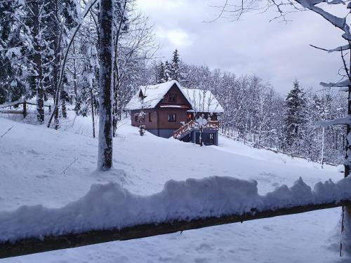 Starry Laz mountain house