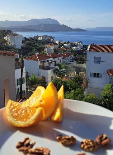 Bicorna - Chania 2