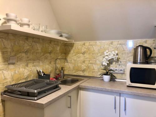 ห้องครัว, Ubytování Zátiší Olomouc (Ubytovani Zatisi Olomouc) in สลาโวนิน