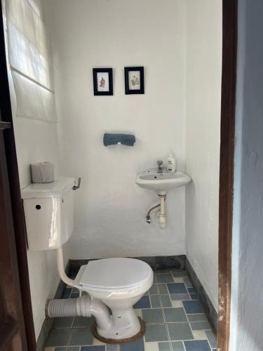 30 Wilson – Jinja