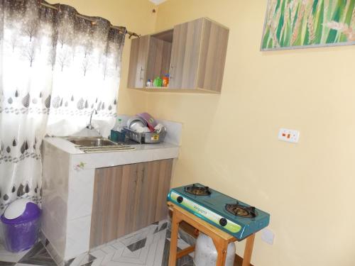 Cloud9 Suites, Kitale (photo 7)