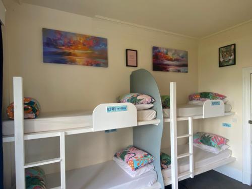 Fort William Backpackers Room Type - Bunk Bed in Female Dormitory Room  