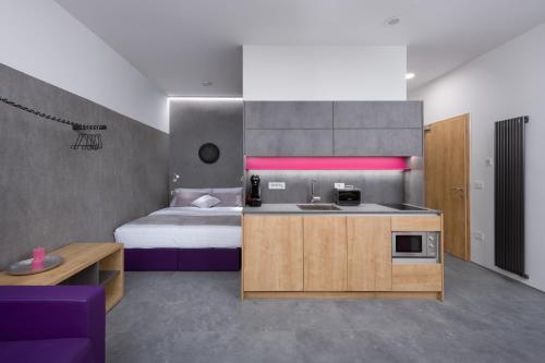 Vila Emona - Central Apartments - Free Parking, Ljubljana (photo 9)