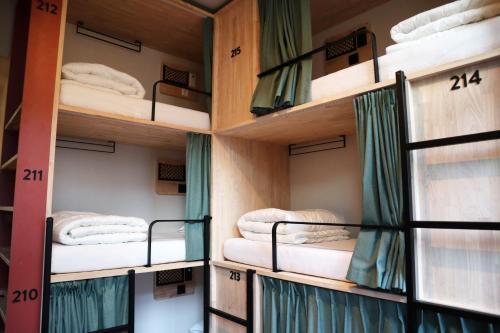 The Bee Hostel - image 14