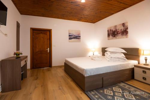 Casa Andreea in 弗拉辛