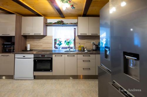 廚房, Casa Andreea in 弗拉辛