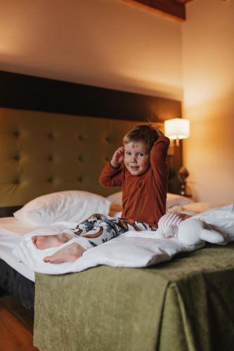 Hotel Inn Salland - image 2