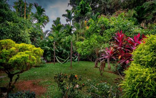 Your Dream Home - Mirissa - image 2
