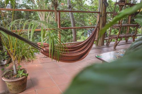 设施服务, Estación Biológica Agualí (Estacion Biologica Aguali) in 马塔加尔帕