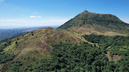 Iris, Gîte Saint Antoine, Orcival, entre Sancy et Volcans d'Auvergne