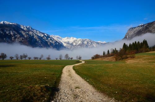 Residence Novak Bohinj - image 2