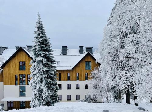 Apartament N&B góry, SPA, basen i jacuzzi, Szklarska Poręba (Foto 7)
