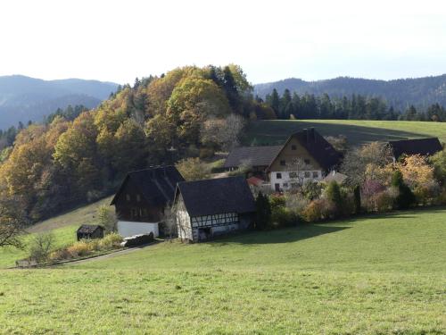 Ferienwohnung Höfenhof