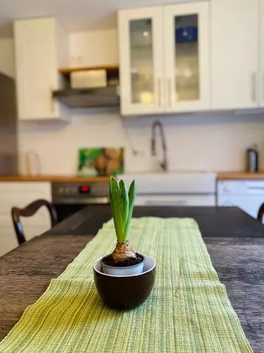 Lily-Rose Cottage in Vastorf, Deutschland