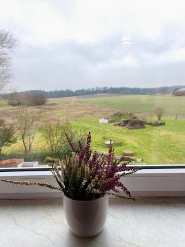 Surrounding environment, Lily-Rose Cottage in Other